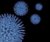 Glycoproteins,cell surface,proteins